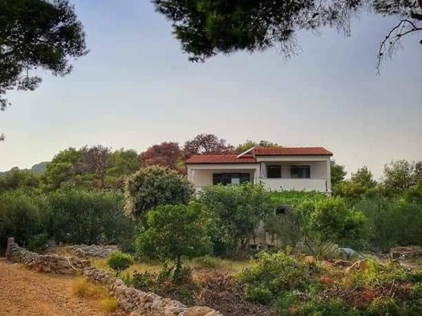 Apartmani Lina فيليكي درفينيك المظهر الخارجي الصورة